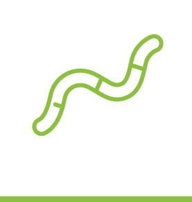 Worm Icon