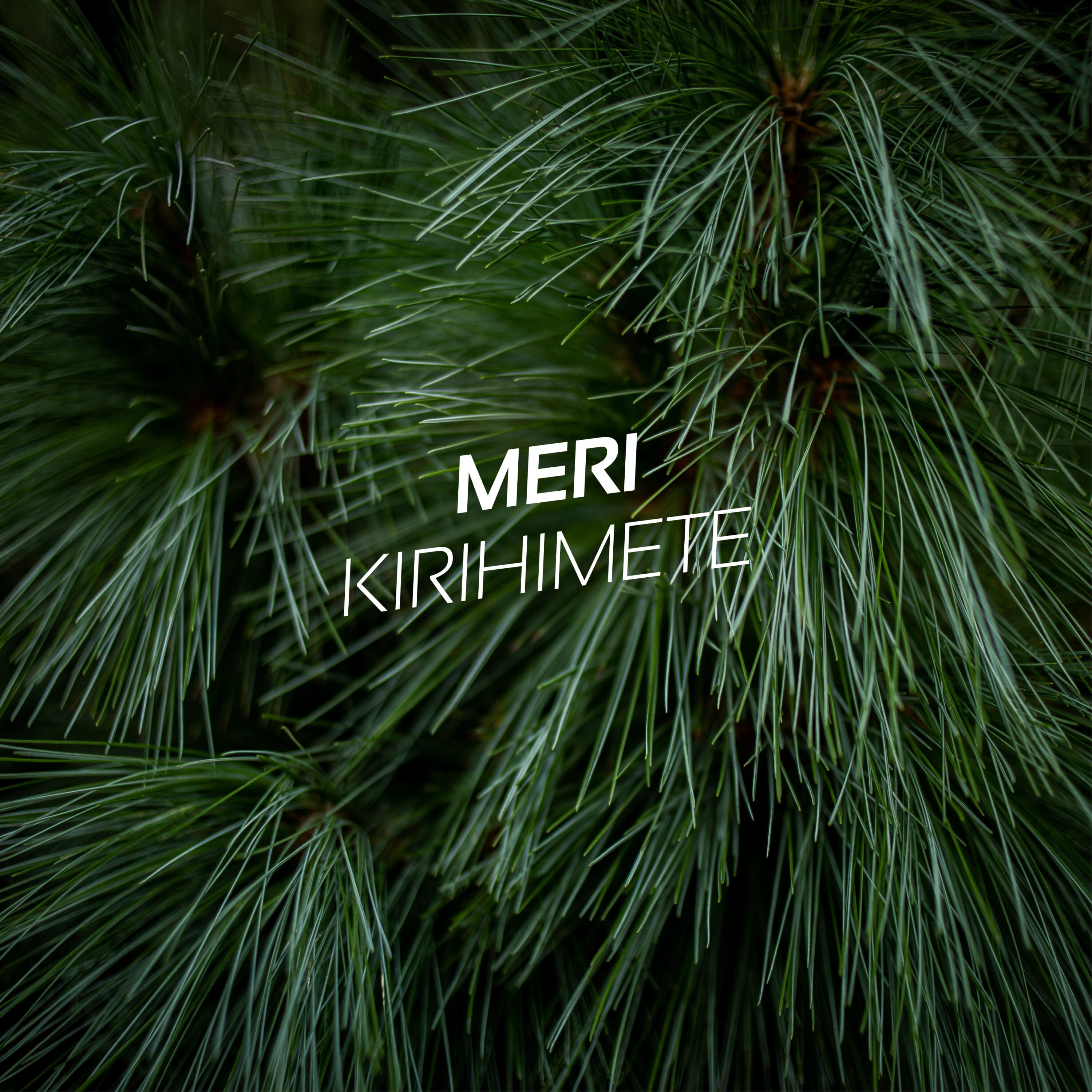 eHaus News // Christmas 2020