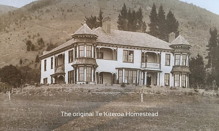 Te Kiteroa - Image 6