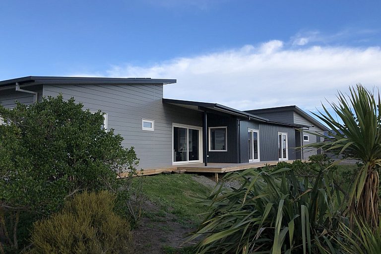 Kapiti Takahe - Image 1