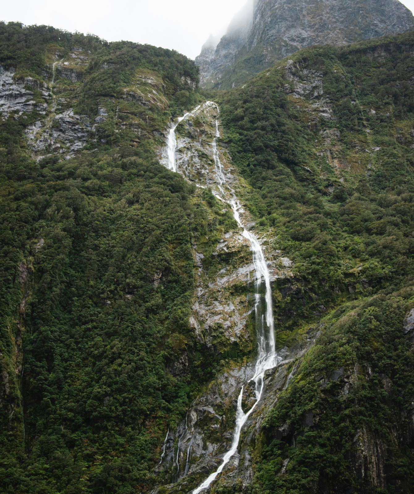 Environmental values