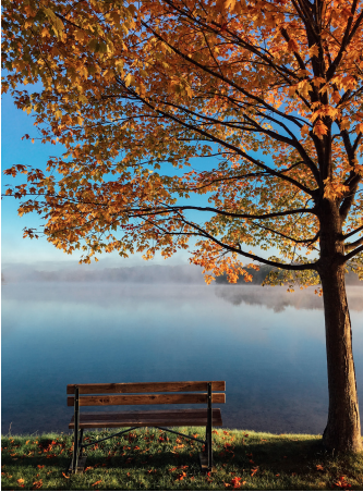 April Investment Newsletter