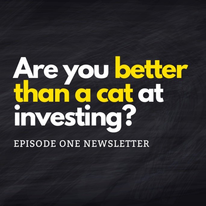 Are you better than a cat at investing?