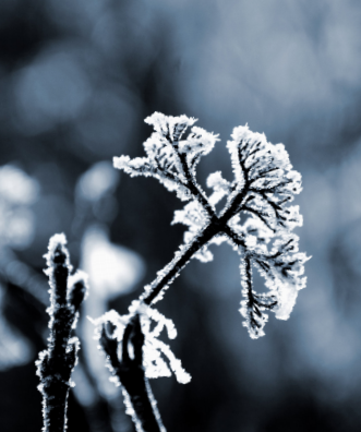 Quarterly Investment Update &amp; Annual Re-balancing