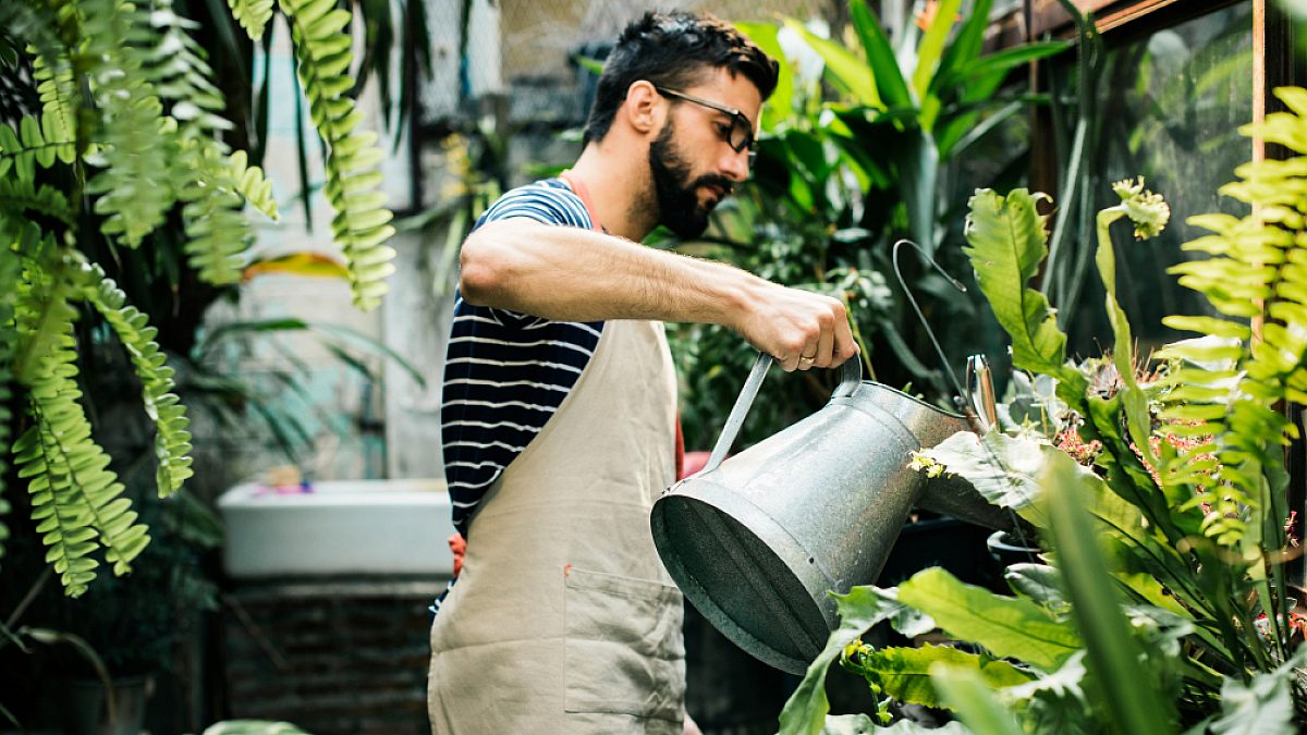Man watering plants