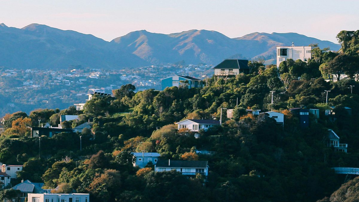 Wellington New Zealand Hillside