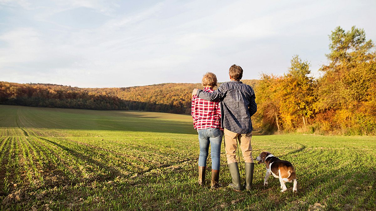 A couple and their dog looking out at a field